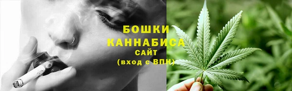 крисы Дмитриев